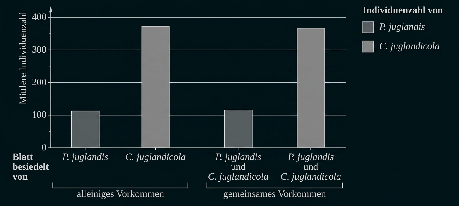Balkendiagramm zur mittleren Individuenzahl von P. juglandis und C. juglandicola bei alleinigem und gemeinsamem Vorkommen.